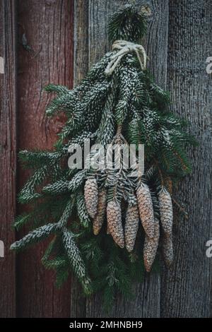 Bouquet de branches d'épinette accrochées à la porte Banque D'Images