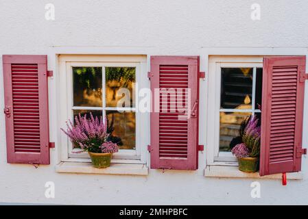 Façade typique de l'ancienne maison rétro provençale avec fenêtres et volets en bois décorés de fleurs fraîches colorées. bouganville aux fleurs violettes Banque D'Images