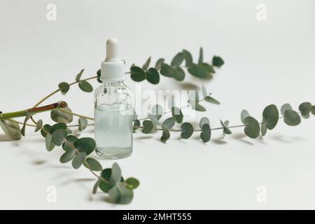 Bouteille compte-gouttes en verre avec branche d'eucalyptus près de celle-ci sur fond blanc. Concept de la peau de la nature. Cosmétiques bio Spa. Concept tendance. Banque D'Images