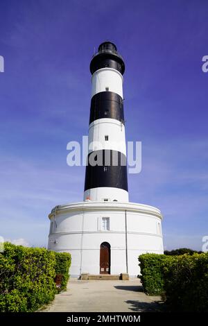 Le noir et blanc phare de Chassiron en France avec vignoble dans