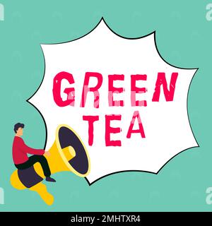 Symbole texte indiquant le thé vert. Concept signifiant type de thé qui est fait à partir de feuilles et bourgeons de Camellia sinensis Banque D'Images