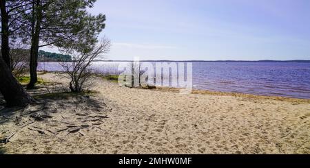 Plage de sable et eau bleue sur le lac de Lacanau france Banque D'Images