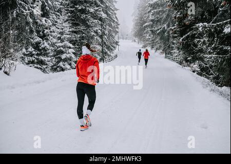 Les coureuses parcourent les sentiers enneigés, leur souffle visible dans l'air de montagne éclatant d'une forêt enneigée Banque D'Images