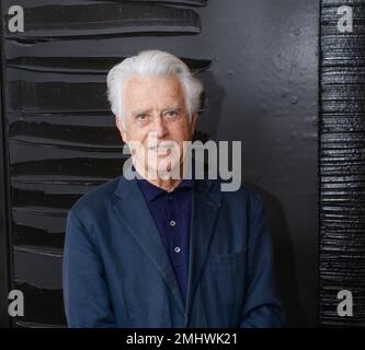 JEAN GERARD BOSIO: ART POUR LE MUSÉE DE DAKAR HOMMAGE À LEOPOLD SENGHOR Banque D'Images