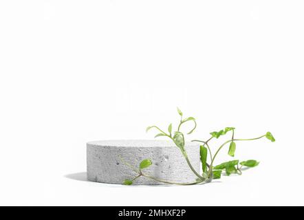 Podium écologique en béton de pierre cylindrique sur fond blanc avec ombres dures et plante d'escalade tropicale verte. Support pour la présentation de votre prod Banque D'Images