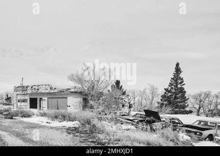 Abandon d'une ancienne autocarrosserie à côté d'une rangée de voitures épaves dans un paysage d'hiver noir et blanc Banque D'Images