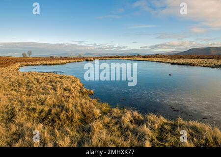 Grand et glacé sur l'étang sur Mynydd Illtyd Common Brecon Beacons Powys South Wales Banque D'Images