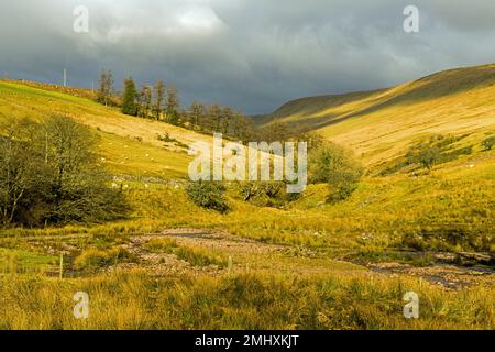 Admirez la NAT Crew Valley au large des A470 Brecon Beacons, au sud du pays de Galles Banque D'Images