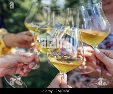 Faire un toast de fête avec du vin mousseux. Les mains des femmes tiennent des verres de champagne. Concept anniversaire, vacances, fête et amitié. Banque D'Images