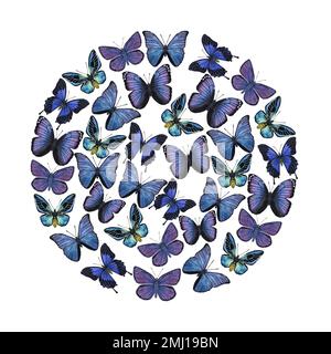 De beaux papillons bleu-violet dans un cercle. Illustration aquarelle dessinée à la main isolée sur fond blanc. Peut être utilisé pour la carte, l'affiche, les autocollants Banque D'Images