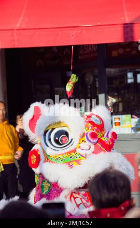 Angleterre, East Sussex, Hove, Portland Road, Dragon Dance à l'extérieur de la boutique Asiana pour le nouvel an chinois 2023, l'année du lapin. Banque D'Images