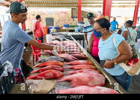 Marché aux poissons sur le marché Sir Selwyn Clarke, Victoria, Mahé, Seychelles Banque D'Images