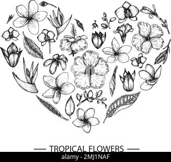 Fleurs tropicales vectorielles en forme de coeur. Illustration graphique à motif floral noyer à la main. Plumeria dessinées à la main, canna, aloès, bougainvilliers, hibiscus, prot Illustration de Vecteur