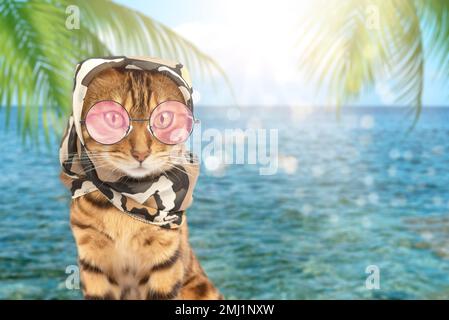 Un chat en lunettes de soleil et un foulard sur le fond d'une mer tropicale. Copier l'espace. Banque D'Images