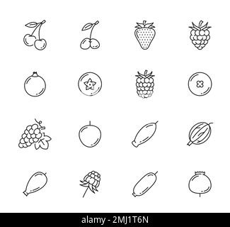 Icônes de la ligne de baies brutes. Jardin de ferme et cerisier sauvage, fraise et myrtille, framboise, myrtille et rosehip, cassis et myrtille, icônes de pictogrammes vectoriels de raisin, groseille et blackberry Illustration de Vecteur