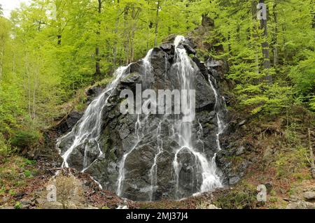 Cascade de Radau dans les montagnes du Harz, Saxe-Anhalt, Allemagne Banque D'Images