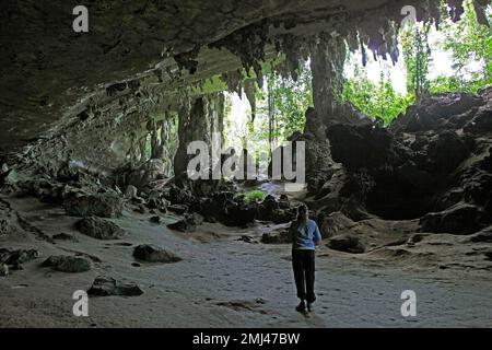 Complexe de la grotte de Niah, parc national de Niah, district de Miri, Sarawak, Bornéo, Malaisie Banque D'Images