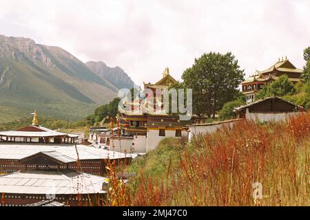 Toits de temples d'or et vallées verdoyantes dans le paysage de montagne, Langmusi, province de Gansu, Chine Banque D'Images