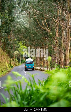 VW bus sur une route dans la forêt, Madère, Portugal Banque D'Images