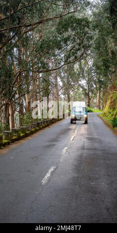 VW bus sur une route dans la forêt, Madère, Portugal Banque D'Images