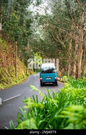 VW bus sur une route dans la forêt, Madère, Portugal Banque D'Images