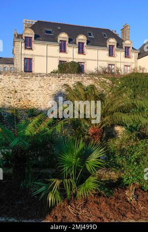 Jardin botanique jardin de la Retrite, rue Elie Fréron, Quimper, Kemper, Département de Finistère Penn-ar-Bed, région Bretagne Breizh, France Banque D'Images