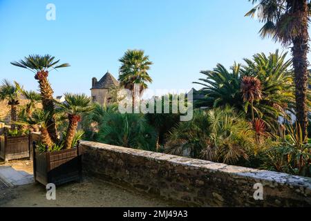 Jardin botanique jardin de la Retrite, rue Elie Fréron, Quimper, Kemper, Département de Finistère Penn-ar-Bed, région Bretagne Breizh, France Banque D'Images