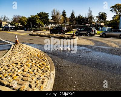 La marée royale sur le nouvel an chinois de 22 janvier 2023 s'appuie à travers le système d'évacuation de tempête à Marina Blvd et Neptune Drive à San Leandro Californie Banque D'Images