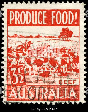 AUSTRALIE - VERS 1953: Un timbre imprimé en AUSTRALIE montre le bétail, émis pour encourager la production alimentaire, vers 1953 Banque D'Images