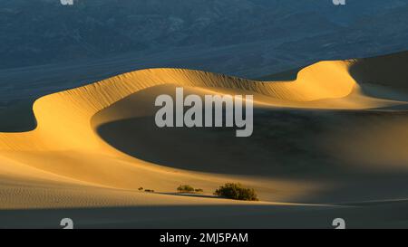 Lumière matinale aux dunes de sable de Mesquite Flat dans le parc national de la Vallée de la mort, en Californie. Banque D'Images