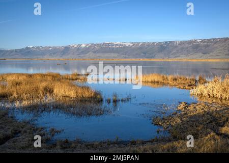 Réserve naturelle d'Summer Lake et plateau d'hiver dans le sud de l'Oregon. Banque D'Images