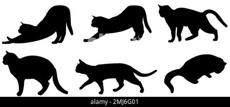 Le vecteur CATS est défini comme silhouettes Banque D'Images