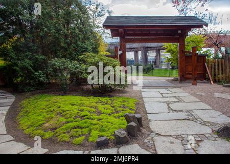 Porte torii à l'entrée du jardin japonais de Wroclaw. large chemin de jardin. Pont gris au loin dans la ville. Journée ensoleillée en Silésie Banque D'Images