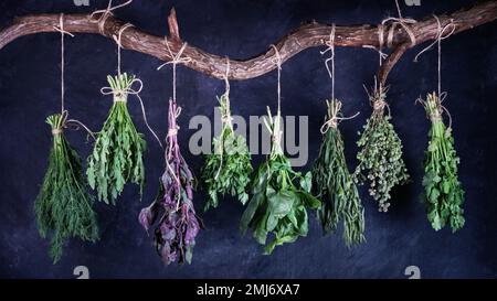 Des petits pains suspendus aux herbes fraîches comestibles variées sur une barre transversale en bois incurvée, gros plan sur fond noir Banque D'Images