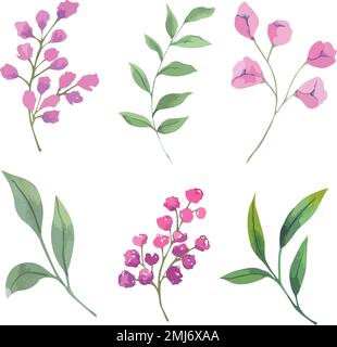 Ensemble de fleurs aquarelles vectorielles, illustration botanique de couleur magenta. Illustration de Vecteur