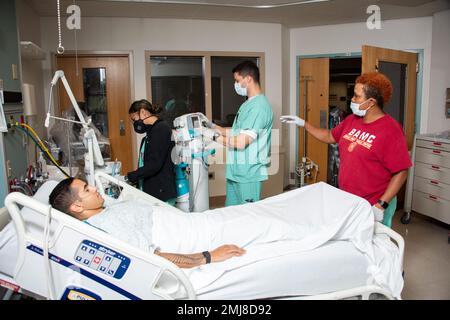 Suzette Hemphill, instructeur de formation en thérapie respiratoire, supervise le Sgt. Maxine Sandoval et Airman 1st Class Ricardo Soler, thérapeutes respiratoires, en mettant en place l'oxyde nitrique inhalé par canule nasale sur un patient simulé au Centre médical de l'Armée de Brooke, fort Sam Houston, Texas, le 25 août 2022. La Section de thérapie respiratoire de la BAMC soutient sept unités de soins intensifs, 12 unités et le service des urgences. Le RTS travaille également dans l'unité de gravure (ISR), le laboratoire de la fonction pulmonaire externe et est formateur clinique pour le programme de thérapie respiratoire interservice (IRTP). Banque D'Images