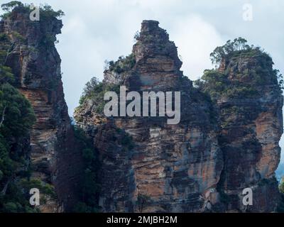 Arbres et autre végétation de brousse Australasienne au-dessus des formations Three Sisters Rock des Blue Mountains, Echo point, Nouvelle-Galles du Sud Australie Banque D'Images