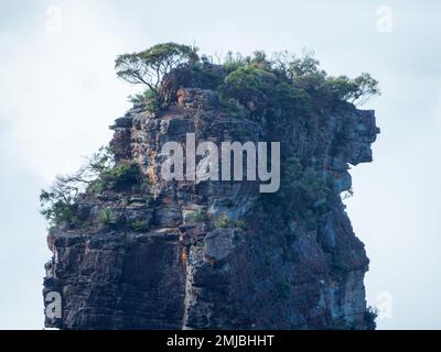 Arbres et autre végétation de brousse Australasienne au-dessus de l'une des trois formations de Sœurs Rock des Blue Mountains, Echo point, Nouvelle-Galles du Sud Australie Banque D'Images