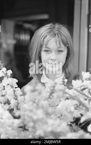 Pays-Bas Histoire: Rudy Carrell Show, star de cinéma espagnol Marisol; Date: 18 octobre 1962 Banque D'Images