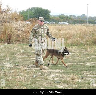 Le chien de travail militaire Iivar reçoit son cadeau bien mérité – un jouet à mâcher – du sergent d'état-major Matthew Dobson, 525th détachement de la police militaire (MWD), après avoir trouvé sa cible après les États-Unis L’exercice de protection d’installation de la garnison militaire de Wiesbaden a eu lieu à Clay North, août 26. (Photo de Mike Kenfield) Banque D'Images