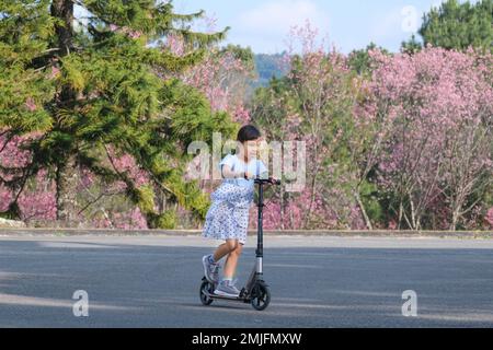 Jolie petite fille à cheval dans la rue dans le parc extérieur le jour de l'été. Bonne fille asiatique à cheval sur un kick scooter dans le parc. Loisirs actifs et outdoo Banque D'Images