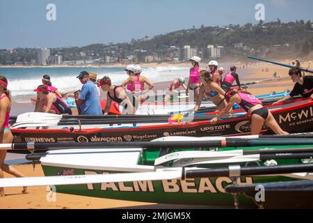 Samedi 28th janvier 2023. Sydney Northern Beaches Surfboat Carnival à North Narrabea Beach, club de surf local, équipes masculines et féminines et leurs bateaux de surf traditionnels concourent dans les événements de la ronde 5 du prémership de bateau, les équipes locales ont inclus ceux d'Avalon Beach, Collaroy, Palm Beach, North Narrabea, Freshwater et Coogee. Credit Martin Berry@alamy Actualités en direct. Banque D'Images