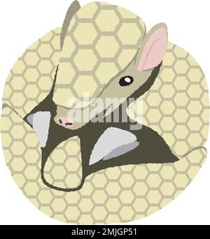 Illustration de l'armadillo à trois bandes arrondi du sud. Un animal a bouclés comme une balle. Illustration de Vecteur