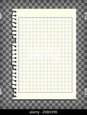 Page de carnet de notes à damier vide avec bord déchiré Illustration de Vecteur