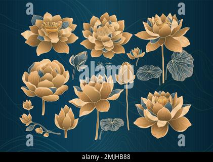 Ensemble de fleurs de lotus pour le luxe et une utilisation exclusive dans la conception. Nénuphars aux couleurs dorées et bleues, éléments isolés. Nelumbo fabriqué en chinois Illustration de Vecteur
