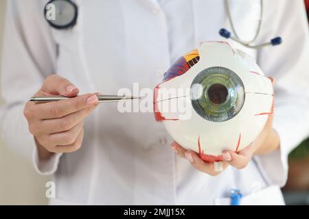 L'ophtalmologiste tient le modèle anatomique de l'œil humain et le stylo dans ses mains. Banque D'Images