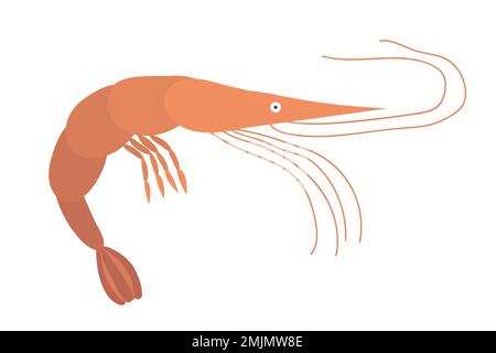 Illustration de crevettes vectorielles Illustration de Vecteur