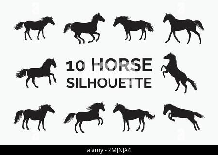 Silhouette de cheval sur fond blanc. Collection réaliste de vecteurs de silhouette de cheval pour un usage personnel. Chevaliers sombres dans différentes positions Illustration de Vecteur