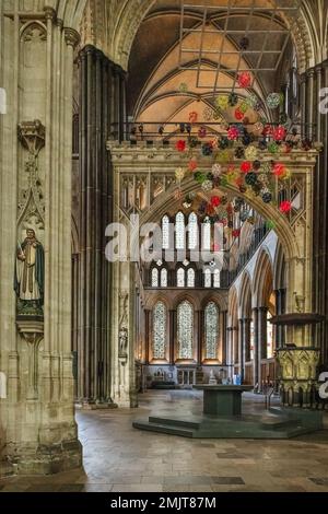 Vue intérieure sur la cathédrale de Salisbury. Banque D'Images