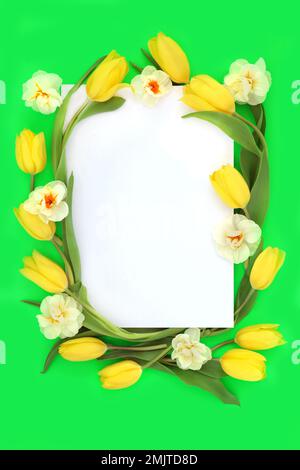 Résumé la tulipe de printemps et le narcisse de jonquille fleurissent de bordure créative sur fond vert. Pâques et Fête des mères floral aménagement naturel minimal. Banque D'Images